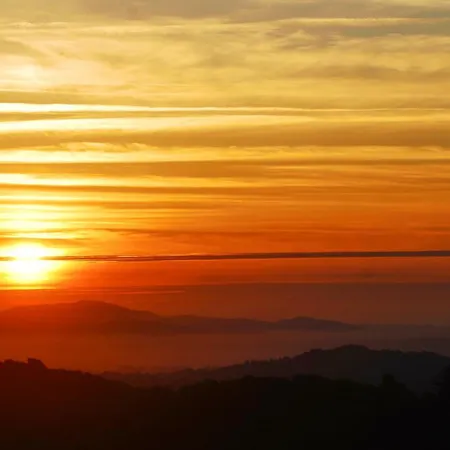 Fayacava Melendreros