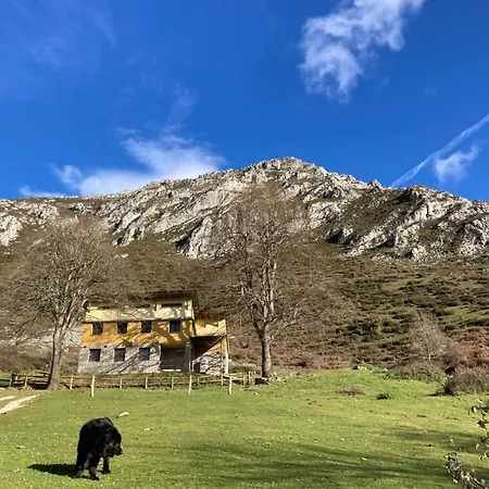 بيت شباب Fayacava *