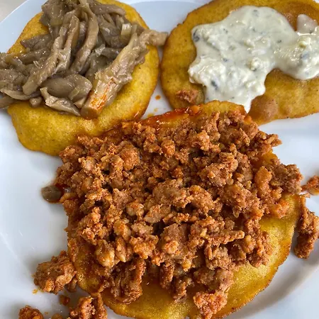 بيت شباب Fayacava